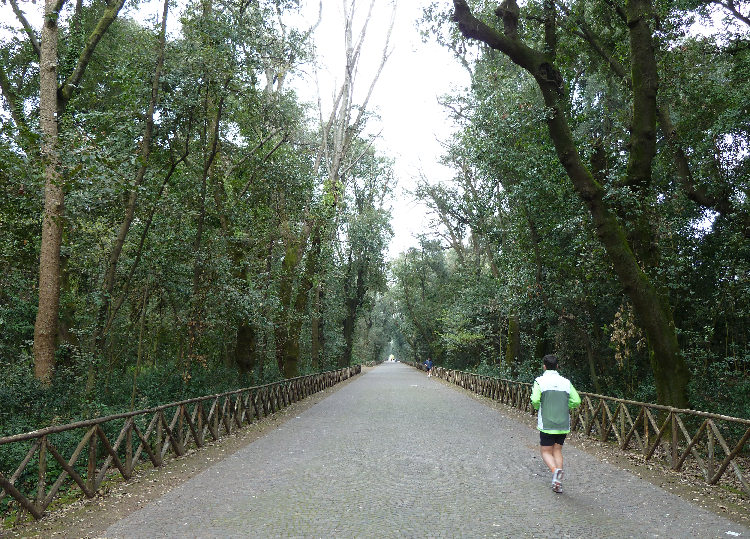 Una Giornata per il Parco di Capodimonte