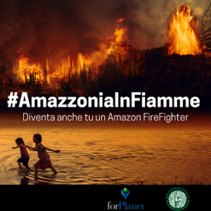 Tessa Gelisio: «La mia missione è di far capire alle persone che bisogna proteggere il nostro pianeta» (amazzonia in fiamme 300x300)