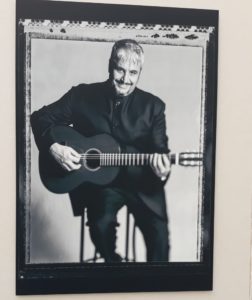 pino-daniele01 (pino daniele01 252x300)